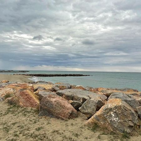 Port Barcares Vue Port Et Mer 乐巴凯尔斯 外观 照片